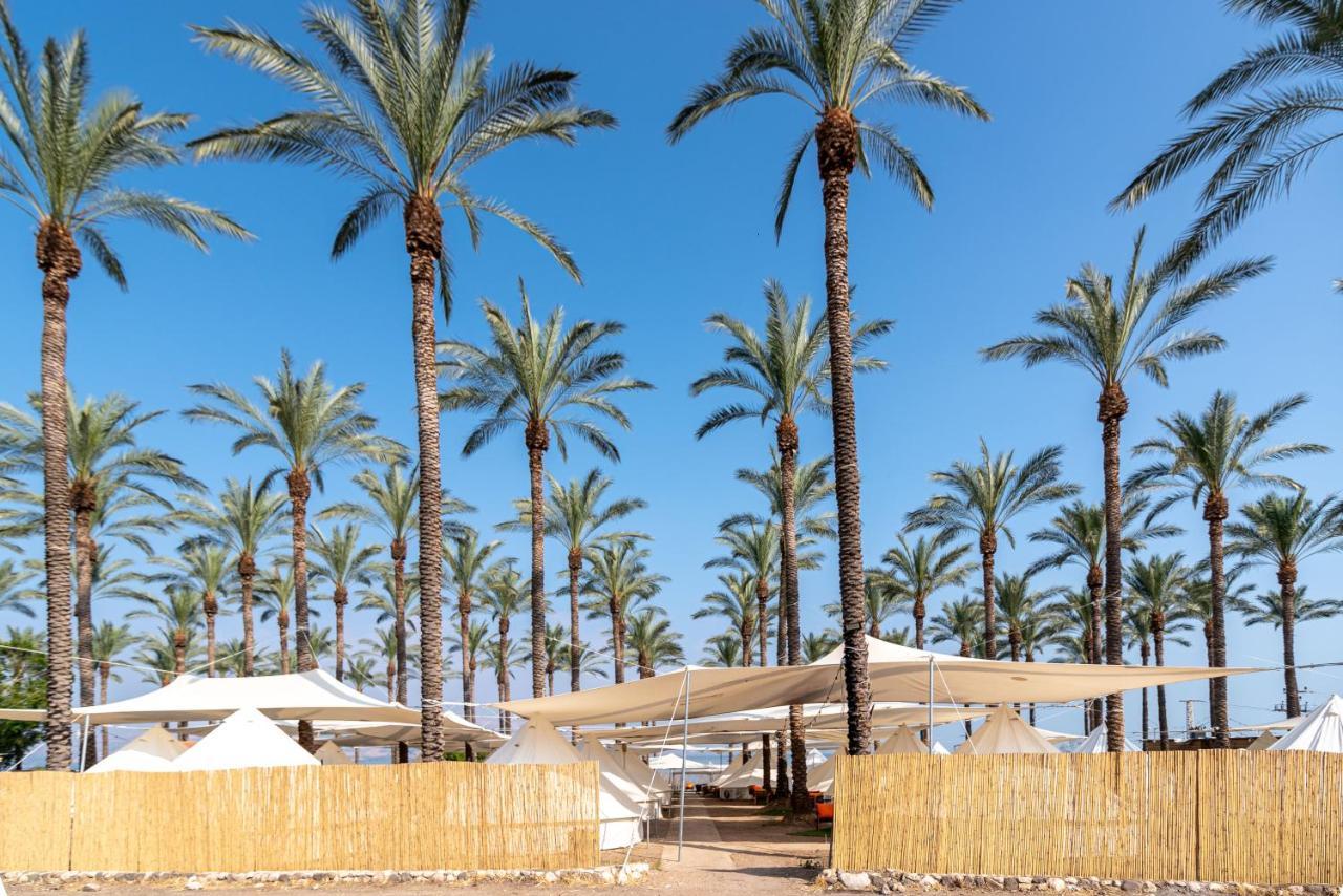 גלאמפינג מיא על הכנרת - חוף Luxury tent HaOn