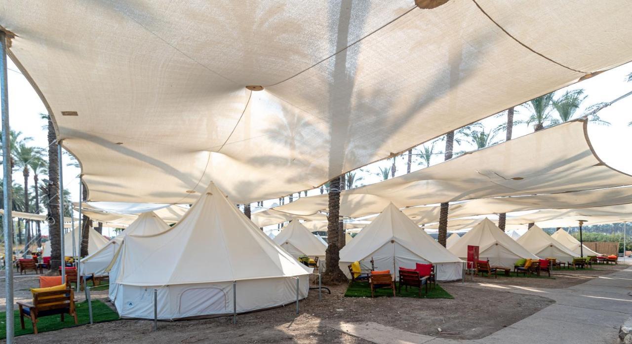 Luxury tent גלאמפינג מיא על הכנרת - חוף